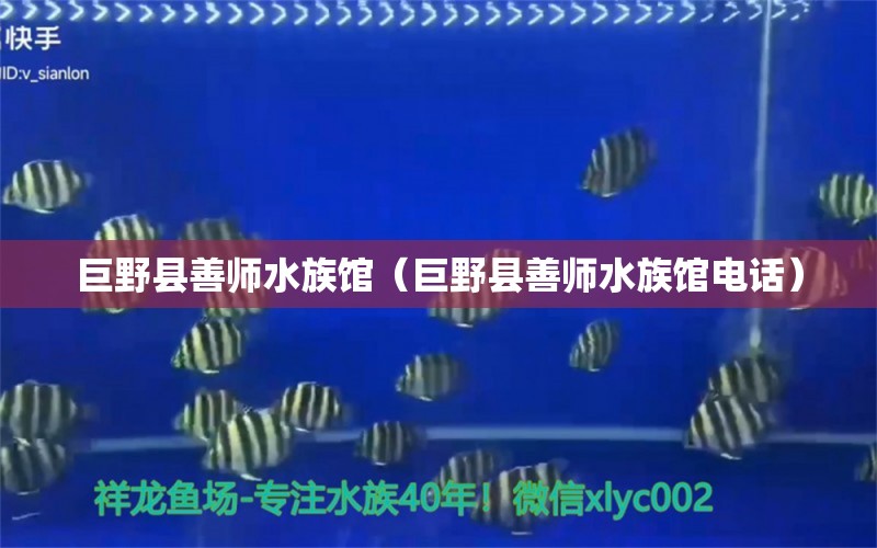 巨野縣善師水族館（巨野縣善師水族館電話）