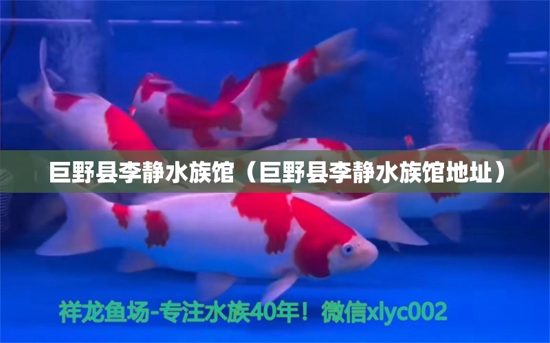 巨野縣李靜水族館（巨野縣李靜水族館地址） 全國(guó)水族館企業(yè)名錄