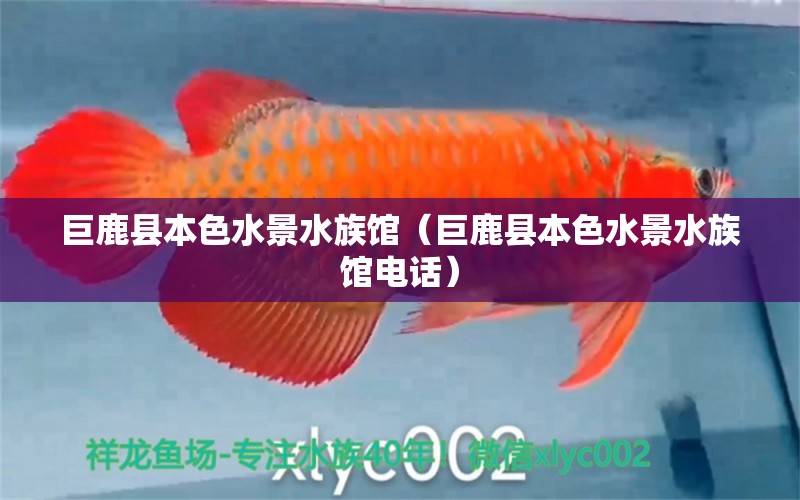 巨鹿縣本色水景水族館（巨鹿縣本色水景水族館電話）