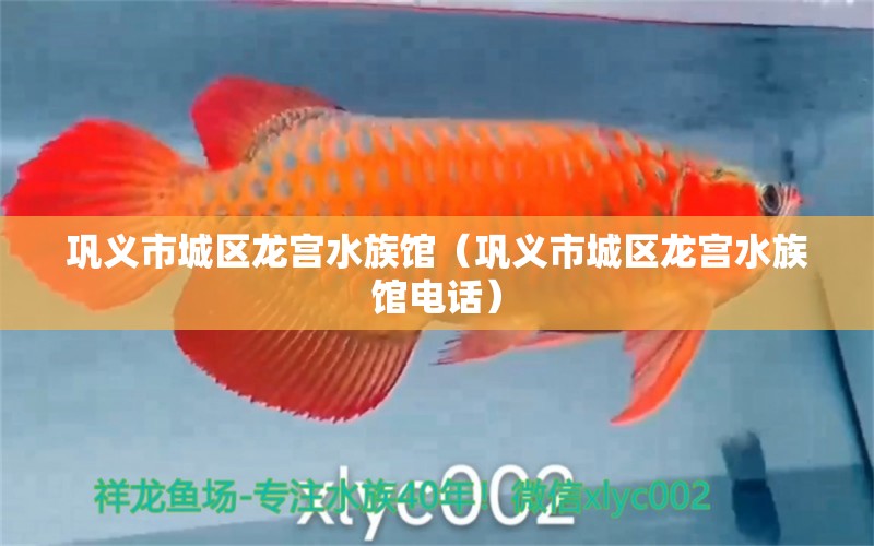 鞏義市城區(qū)龍宮水族館（鞏義市城區(qū)龍宮水族館電話）