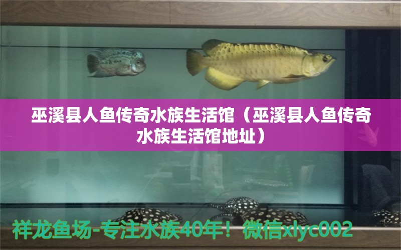 巫溪縣人魚(yú)傳奇水族生活館（巫溪縣人魚(yú)傳奇水族生活館地址）