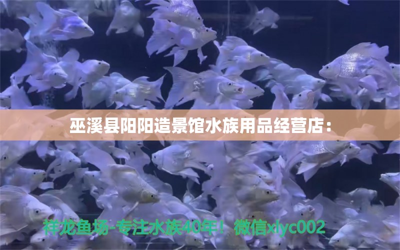 巫溪縣陽陽造景館水族用品經(jīng)營店： 水族用品