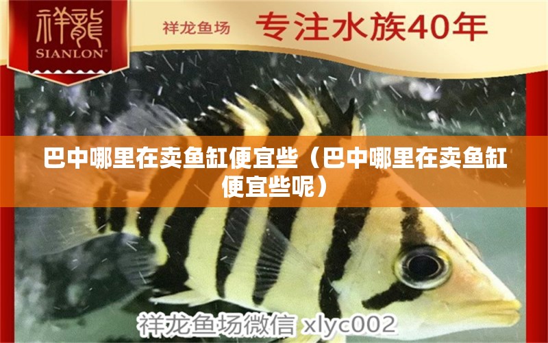 巴中哪里在賣魚缸便宜些（巴中哪里在賣魚缸便宜些呢） 其他品牌魚缸