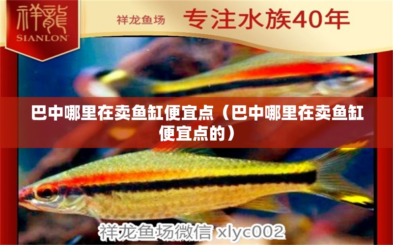 巴中哪里在賣魚缸便宜點（巴中哪里在賣魚缸便宜點的）