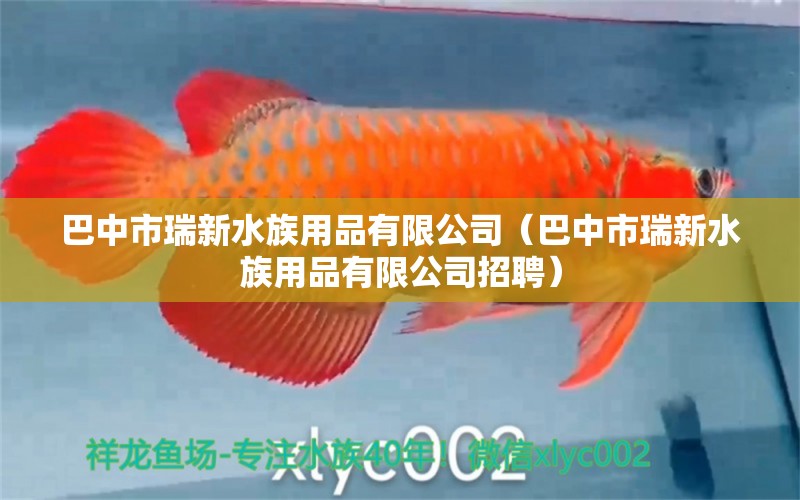 巴中市瑞新水族用品有限公司（巴中市瑞新水族用品有限公司招聘） 水族用品