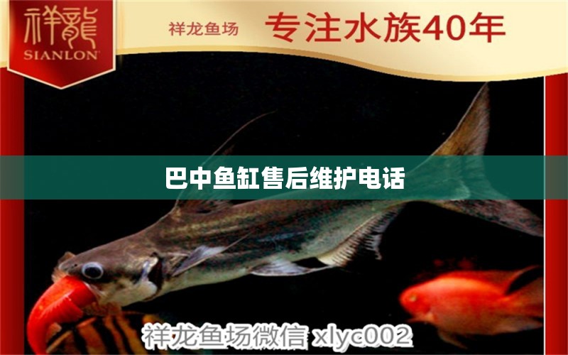 巴中魚缸售后維護電話 其他品牌魚缸