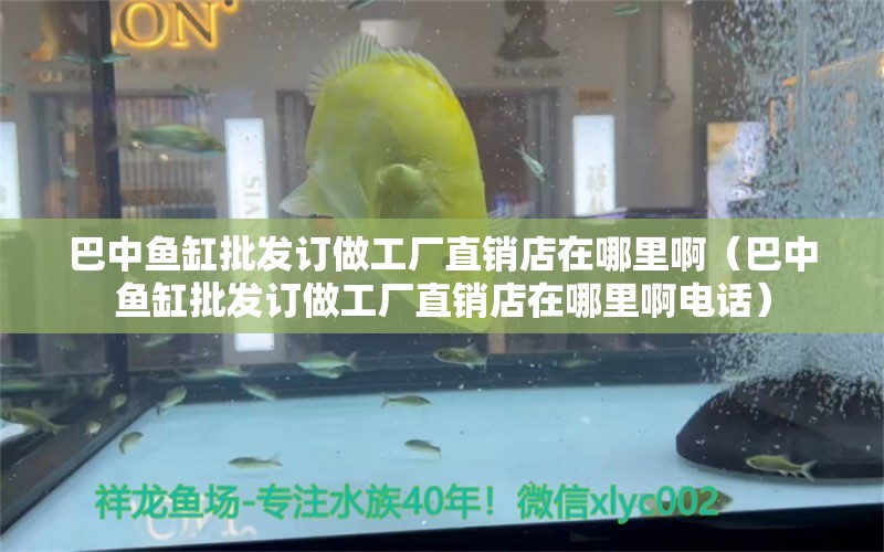 巴中魚(yú)缸批發(fā)訂做工廠直銷(xiāo)店在哪里?。ò椭恤~(yú)缸批發(fā)訂做工廠直銷(xiāo)店在哪里啊電話） 龍魚(yú)芯片掃碼器