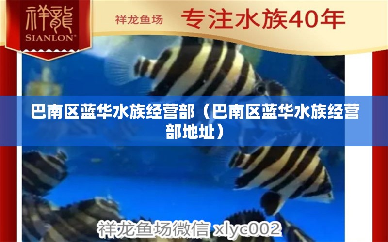 巴南區(qū)藍(lán)華水族經(jīng)營(yíng)部（巴南區(qū)藍(lán)華水族經(jīng)營(yíng)部地址）