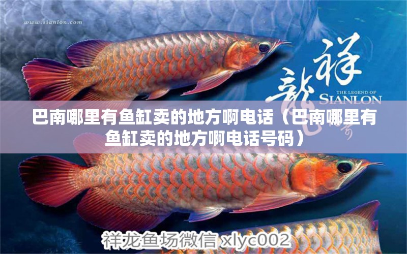 巴南哪里有魚缸賣的地方啊電話（巴南哪里有魚缸賣的地方啊電話號(hào)碼）