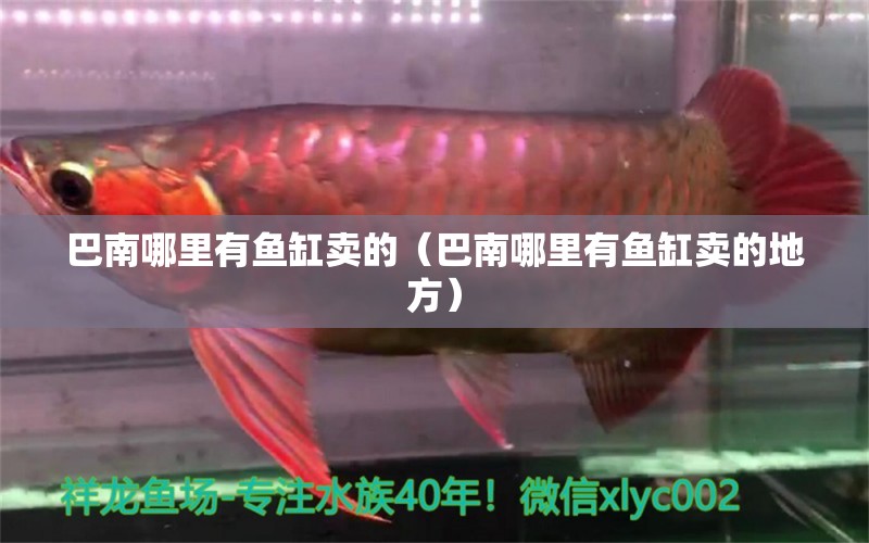 巴南哪里有魚缸賣的（巴南哪里有魚缸賣的地方） 其他品牌魚缸