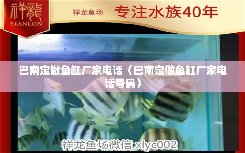 巴南定做魚缸廠家電話（巴南定做魚缸廠家電話號碼） 其他品牌魚缸