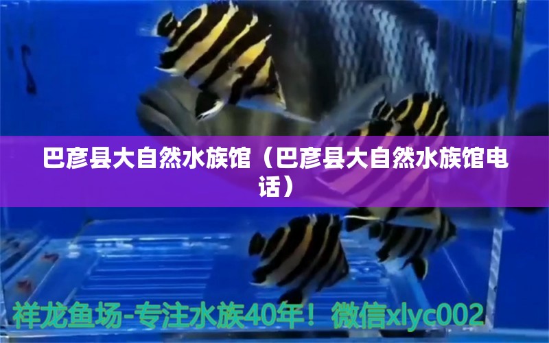 巴彥縣大自然水族館（巴彥縣大自然水族館電話）