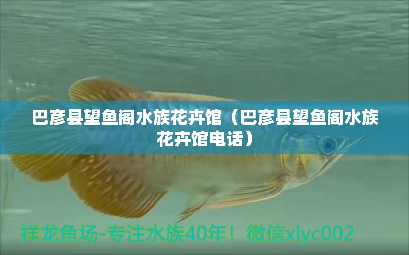 巴彥縣望魚閣水族花卉館（巴彥縣望魚閣水族花卉館電話） 全國水族館企業(yè)名錄