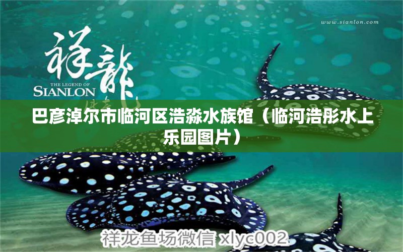 巴彥淖爾市臨河區(qū)浩淼水族館（臨河浩彤水上樂園圖片）