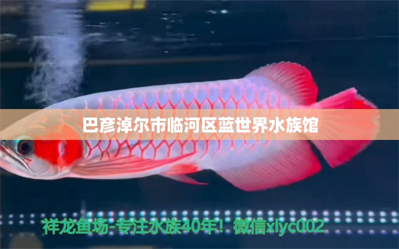 巴彥淖爾市臨河區(qū)藍(lán)世界水族館