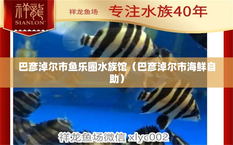 巴彥淖爾市魚樂(lè)圈水族館（巴彥淖爾市海鮮自助）