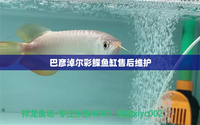 巴彥淖爾彩鰈魚缸售后維護(hù) 彩鰈魚缸（彩蝶魚缸）