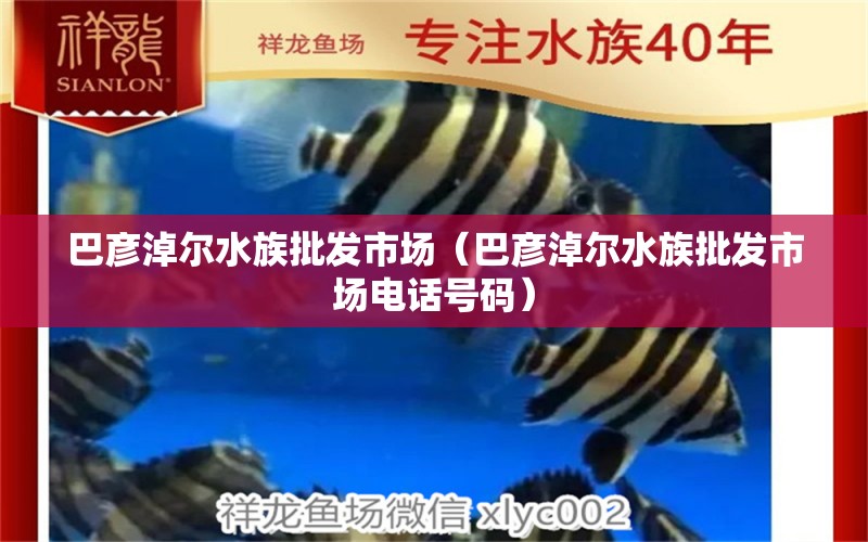 巴彥淖爾水族批發(fā)市場(chǎng)（巴彥淖爾水族批發(fā)市場(chǎng)電話號(hào)碼） 觀賞魚(yú)水族批發(fā)市場(chǎng)