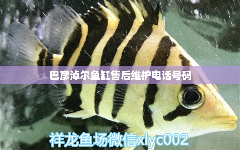 巴彥淖爾魚缸售后維護(hù)電話號(hào)碼 其他品牌魚缸