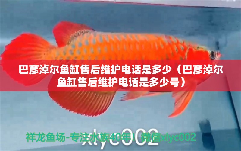 巴彥淖爾魚(yú)缸售后維護(hù)電話是多少（巴彥淖爾魚(yú)缸售后維護(hù)電話是多少號(hào)）