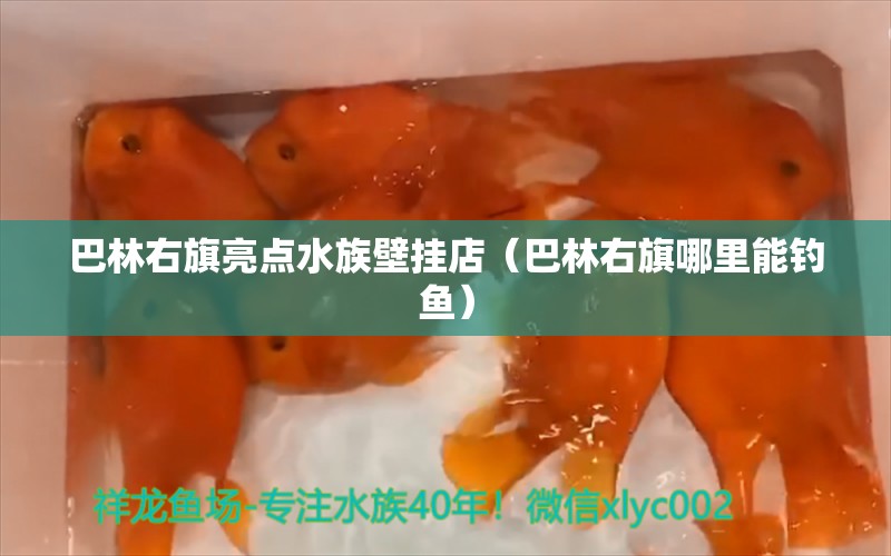 巴林右旗亮點(diǎn)水族壁掛店（巴林右旗哪里能釣魚(yú)） 垂釣樂(lè)園