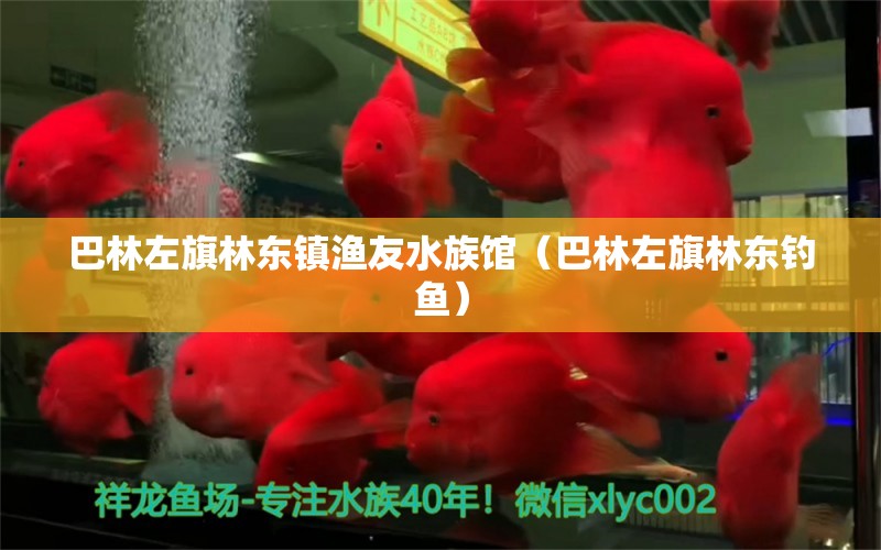 巴林左旗林東鎮(zhèn)漁友水族館（巴林左旗林東釣魚）