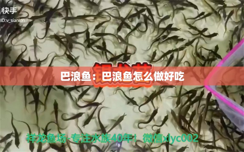 巴浪魚：巴浪魚怎么做好吃