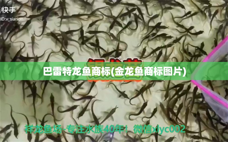 巴雷特龍魚商標(biāo)(金龍魚商標(biāo)圖片) 水族世界