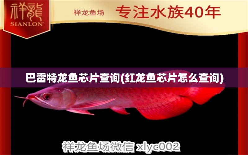 巴雷特龍魚芯片查詢(紅龍魚芯片怎么查詢) 野彩魚