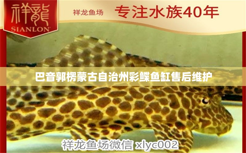 巴音郭楞蒙古自治州彩鰈魚(yú)缸售后維護(hù) 彩鰈魚(yú)缸（彩蝶魚(yú)缸）