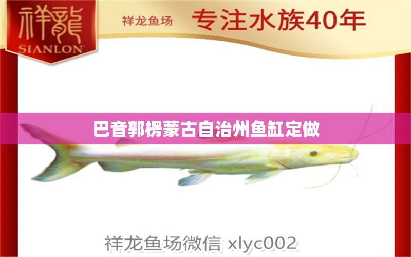 巴音郭楞蒙古自治州魚缸定做