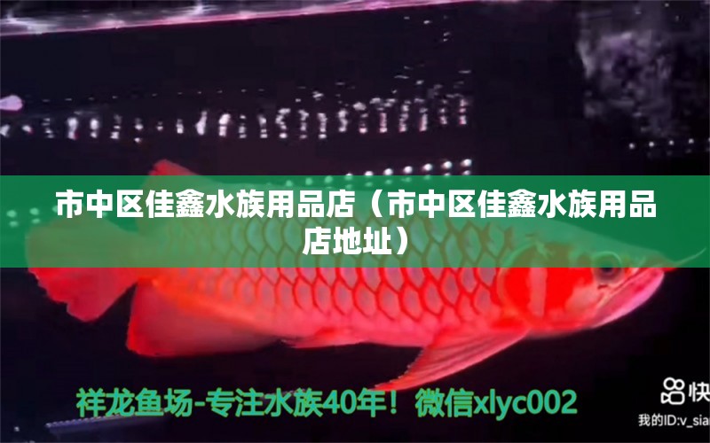 市中區(qū)佳鑫水族用品店（市中區(qū)佳鑫水族用品店地址） 水族用品