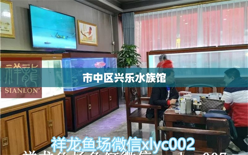 市中區(qū)興樂水族館 全國水族館企業(yè)名錄