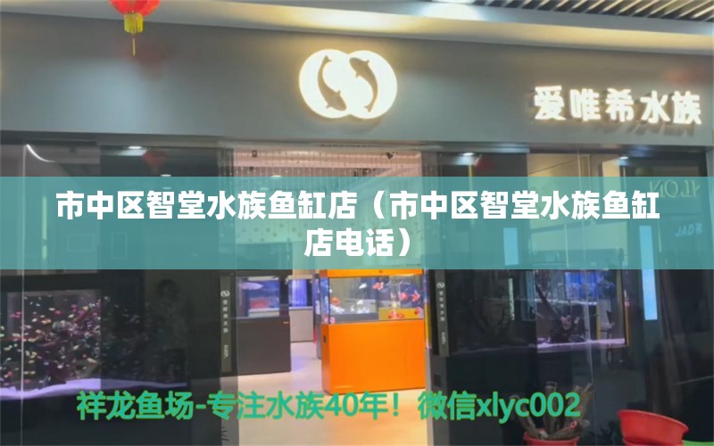 市中區(qū)智堂水族魚缸店（市中區(qū)智堂水族魚缸店電話） 全國水族館企業(yè)名錄