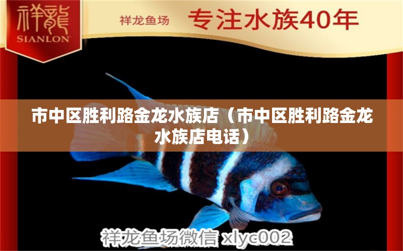 市中區(qū)勝利路金龍水族店（市中區(qū)勝利路金龍水族店電話） 全國水族館企業(yè)名錄