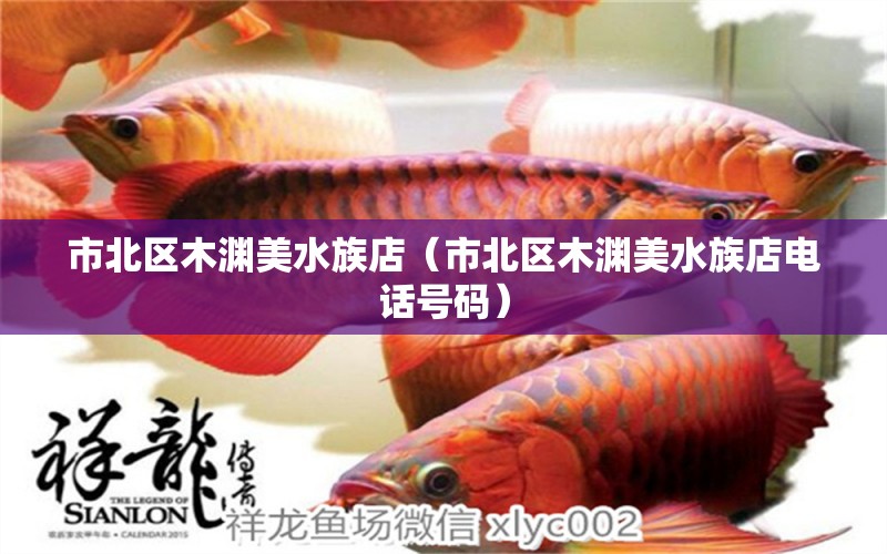 市北區(qū)木淵美水族店（市北區(qū)木淵美水族店電話號碼） 全國水族館企業(yè)名錄