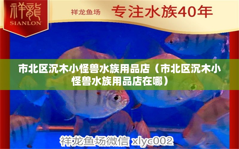 市北區(qū)沉木小怪獸水族用品店（市北區(qū)沉木小怪獸水族用品店在哪） 水族用品