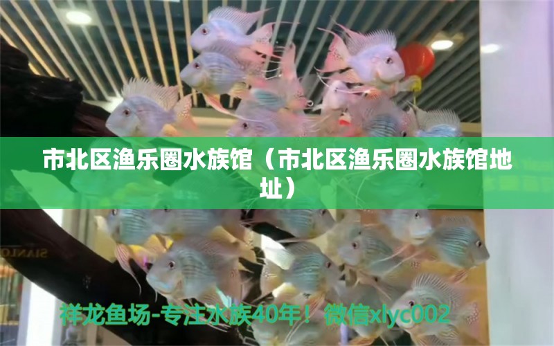 市北區(qū)漁樂(lè)圈水族館（市北區(qū)漁樂(lè)圈水族館地址）