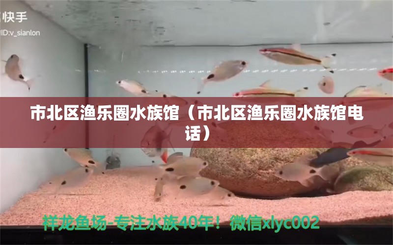 市北區(qū)漁樂圈水族館（市北區(qū)漁樂圈水族館電話） 全國水族館企業(yè)名錄