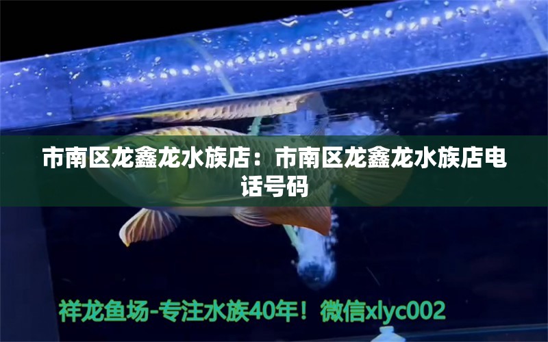 市南區(qū)龍鑫龍水族店：市南區(qū)龍鑫龍水族店電話號碼