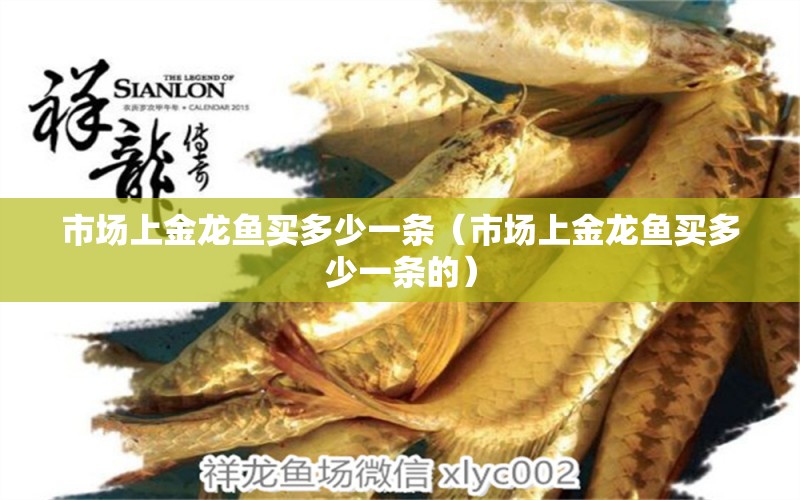 市場上金龍魚買多少一條（市場上金龍魚買多少一條的） 廣州龍魚批發(fā)市場