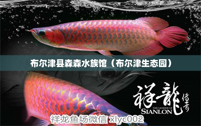 布爾津縣森森水族館（布爾津生態(tài)園）