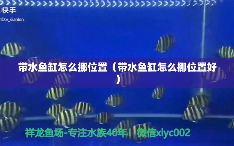 帶水魚缸怎么挪位置（帶水魚缸怎么挪位置好）