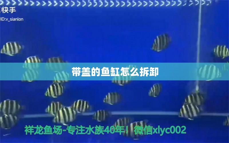 帶蓋的魚缸怎么拆卸 水族問答 第1張