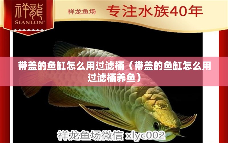 帶蓋的魚(yú)缸怎么用過(guò)濾桶（帶蓋的魚(yú)缸怎么用過(guò)濾桶養(yǎng)魚(yú)） 祥龍水族醫(yī)院