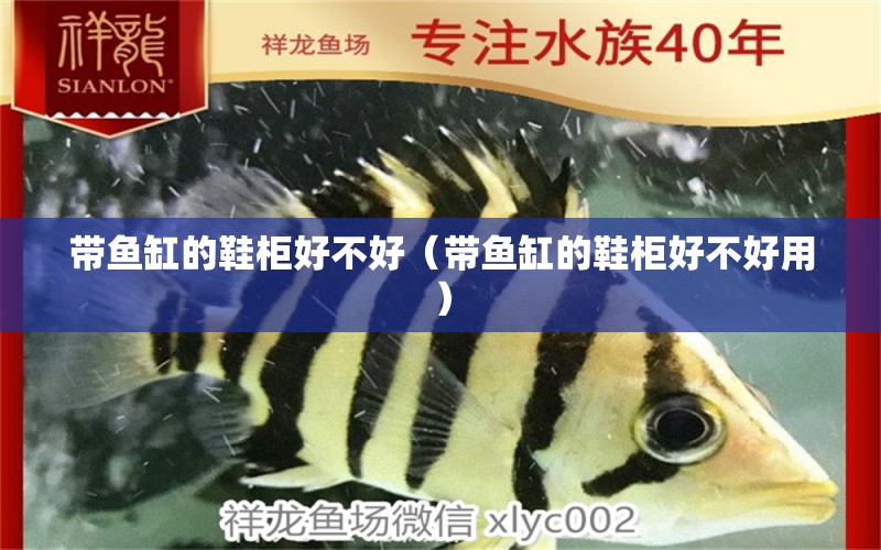 帶魚(yú)缸的鞋柜好不好（帶魚(yú)缸的鞋柜好不好用）