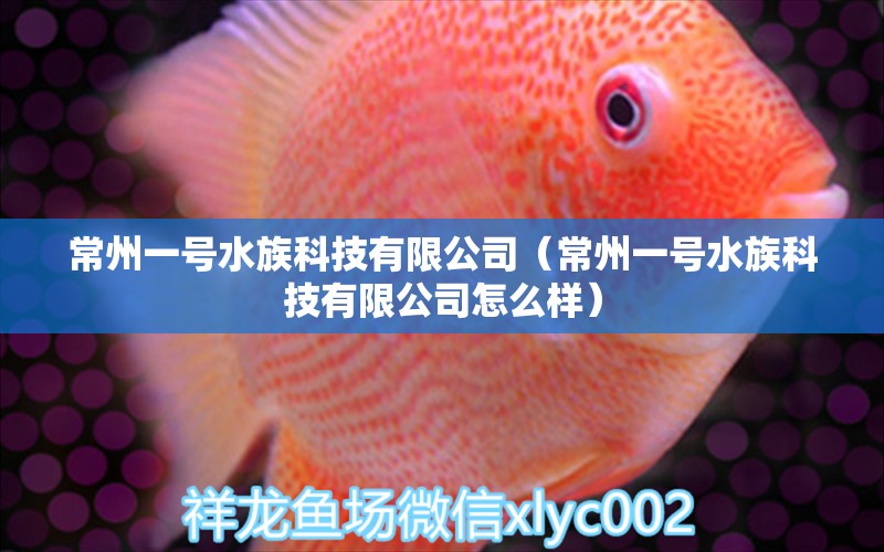 常州一號水族科技有限公司（常州一號水族科技有限公司怎么樣）