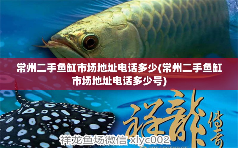 常州二手魚(yú)缸市場(chǎng)地址電話多少(常州二手魚(yú)缸市場(chǎng)地址電話多少號(hào)) 文玩