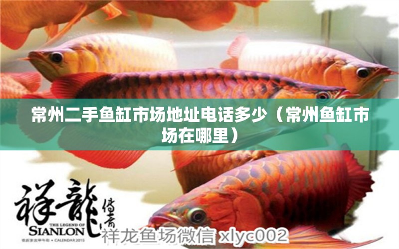 常州二手魚缸市場(chǎng)地址電話多少（常州魚缸市場(chǎng)在哪里）