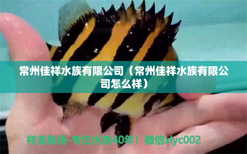 常州佳祥水族有限公司（常州佳祥水族有限公司怎么樣）